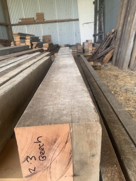 NZ Beech Carousel 4