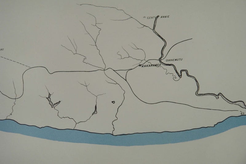 OLD NZ MAP - HAWERA REGION 1867 Carousel 8