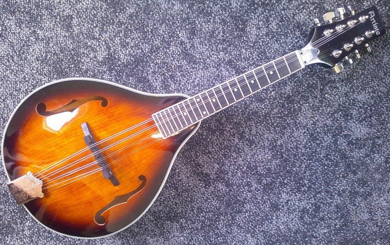 Mandolin for sale NZ, All Solid Maple A-Style Carousel 1
