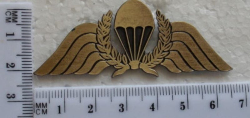 NZ Army metal para wings Carousel 1