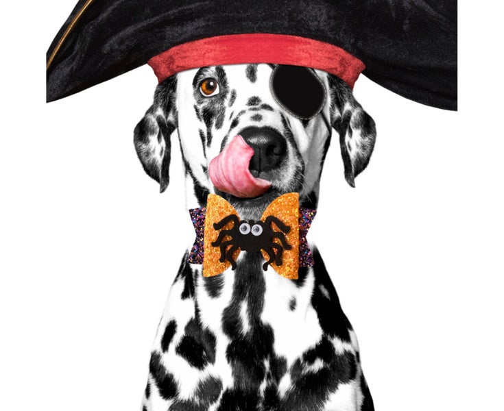 Pet Headgear Sequins Design Fade-Resistant Polyester Halloween Themed Pet H Carousel 2