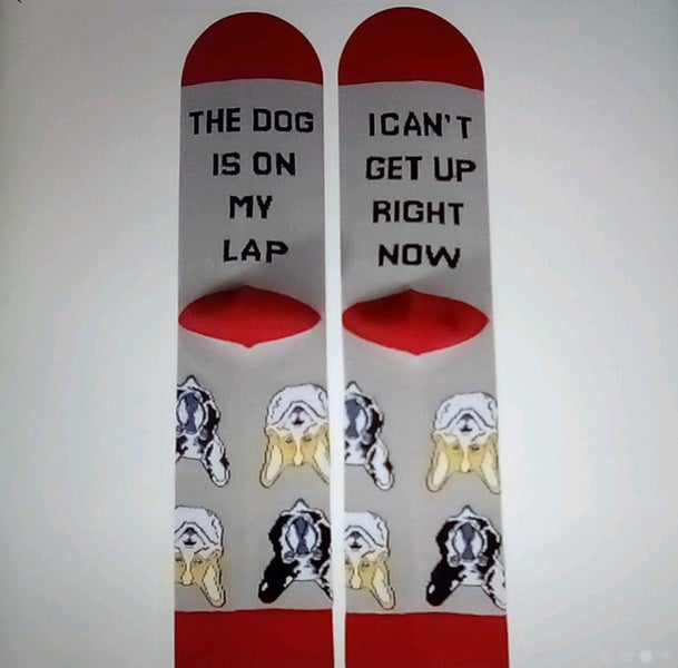 THE CATTAGE - Fun Dog Novelty Unisex Socks Add Some Playfulness To Your Feet Carousel 1