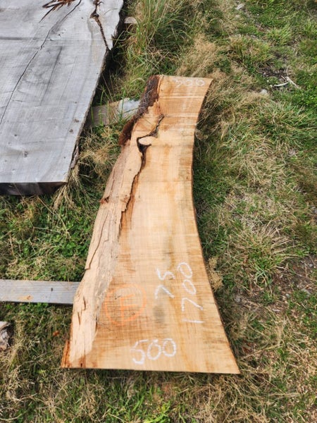 Macrocarpa clearance Slab F Carousel 1