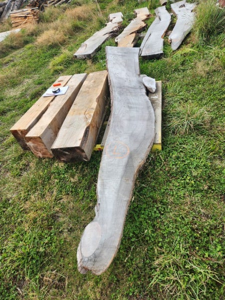 Macrocarpa clearance Slab L Carousel 1
