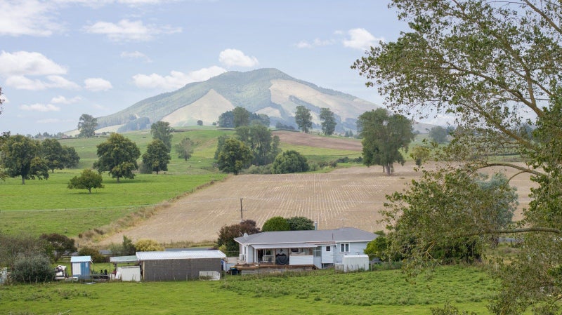 Image 3 of 21