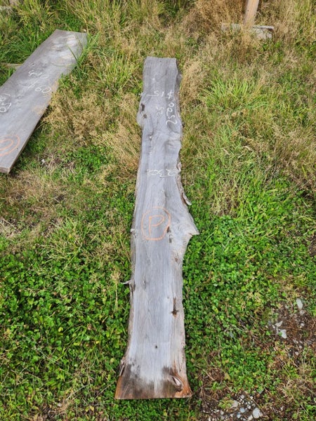Macrocarpa clearance Slab P Carousel 1