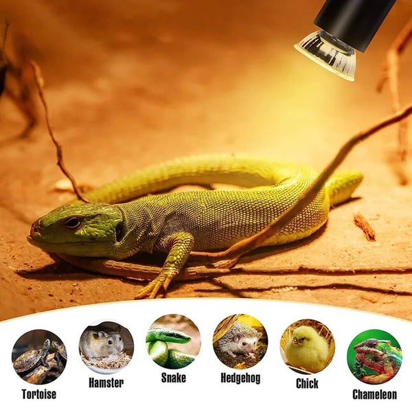 3PCS Reptile Heating Light Bulb UVA+UVB Tortoise Turtle Lizard UV Basking Lamp Carousel 2