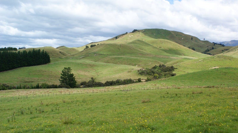 Image 1 of 18