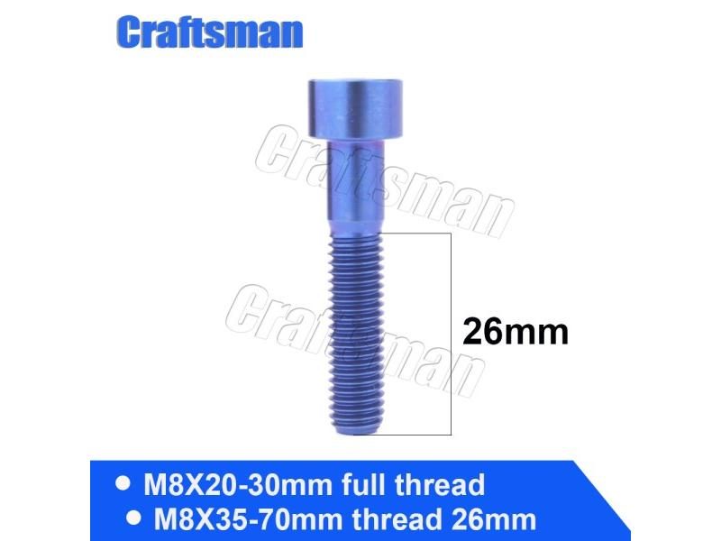 Titanium Ti M8X20 25 30 35 40 45 50 60 70mm Allen Key Socket Head Screw For Carousel 1