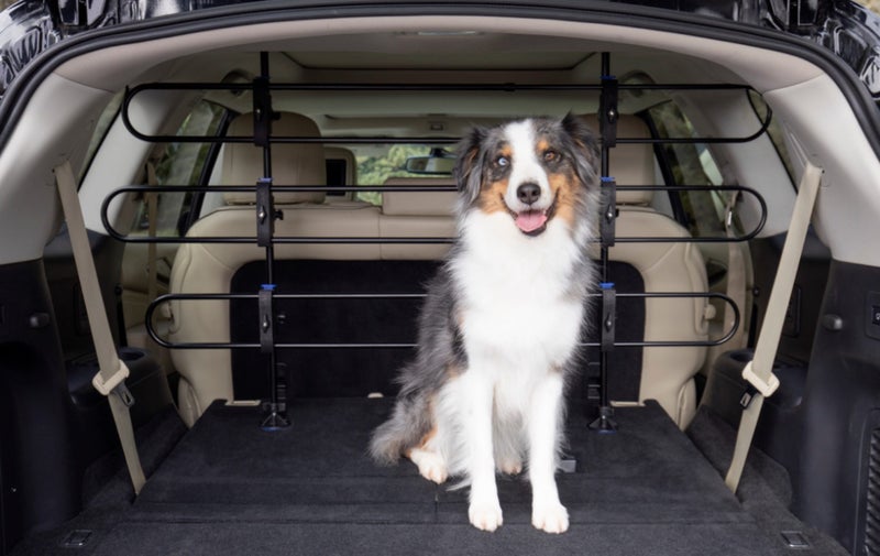 Pet safe dog barrier Carousel 2