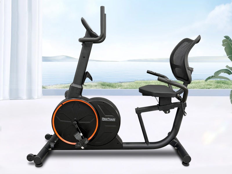 Recumbent Bike Carousel 8