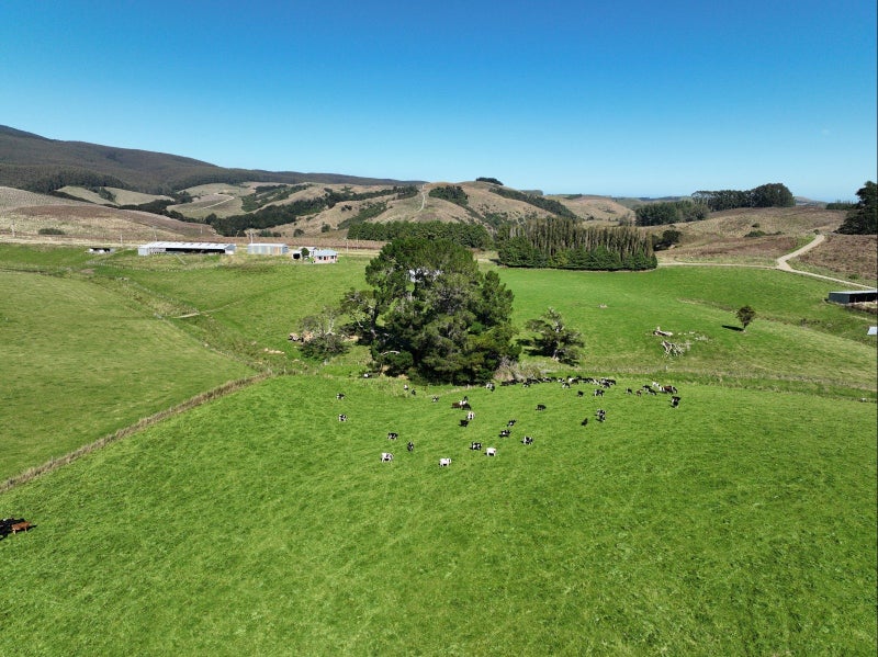 Image 2 of 13