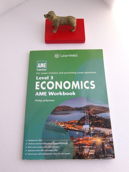 **LEVEL 3 ECONOMICS AME WORKBOOK (LEARNWELL) Carousel 1