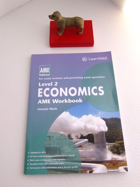 **LEVEL 2 ECONOMICS AME WORKBOOK (LEARNWELL) Carousel 1