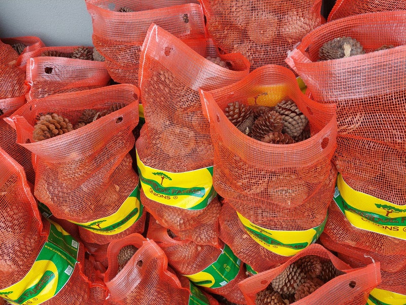 Kiln Dried Pinecones - Excellent Kindling! Carousel 3
