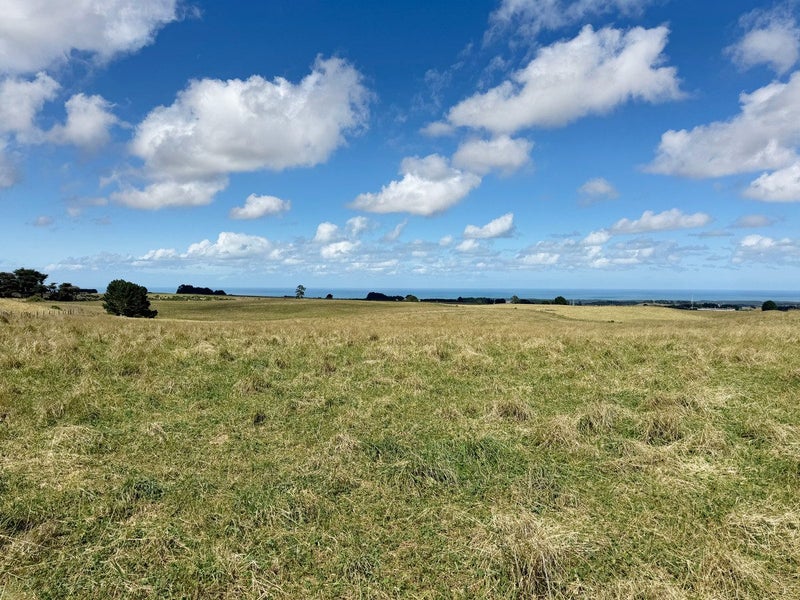 Image 1 of 21