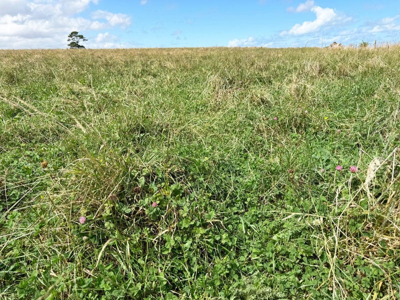 Image 3 of 21