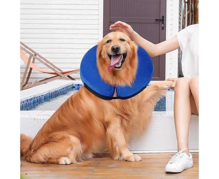 Inflatable Dog Collar Pet Cat Protective Jackets S Carousel 8