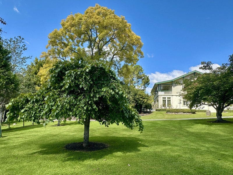 Image 2 of 27