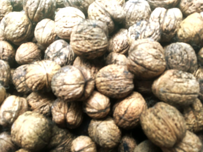 Walnuts - In shell - 1KG - New Seasons 2025, Freshly Harvested! Carousel 1