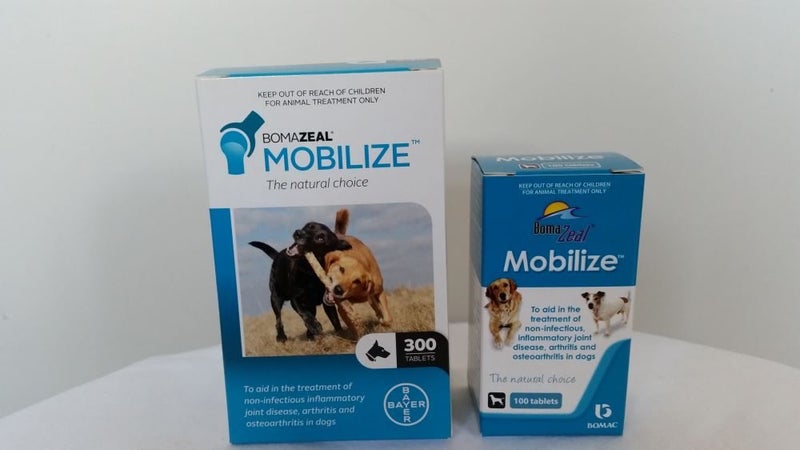 BOMAZEAL MOBILIZE 300's Carousel 1