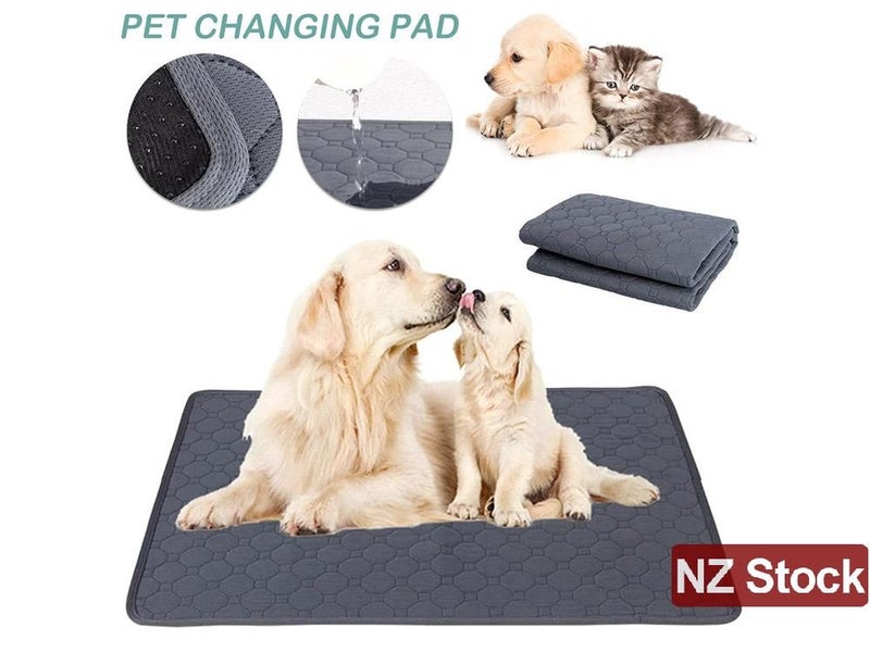 PTN NEW Dog Pee Pad Sale Sale Sale Carousel 1