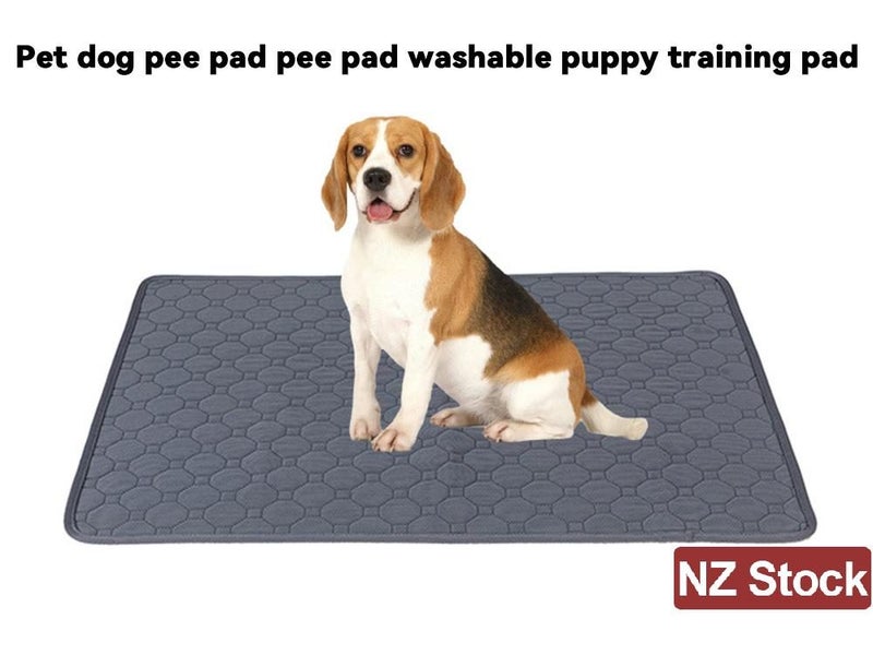 PTN NEW Dog Pee Pad Sale Sale Sale Carousel 2