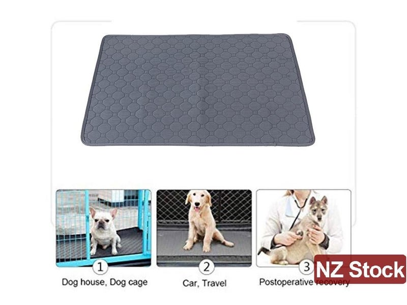 PTN NEW Dog Pee Pad Sale Sale Sale Carousel 14