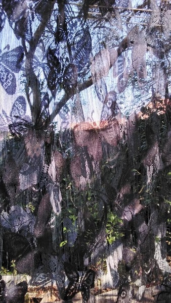 Butterfly net curtains Carousel 6