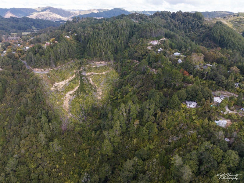 Image 2 of 13