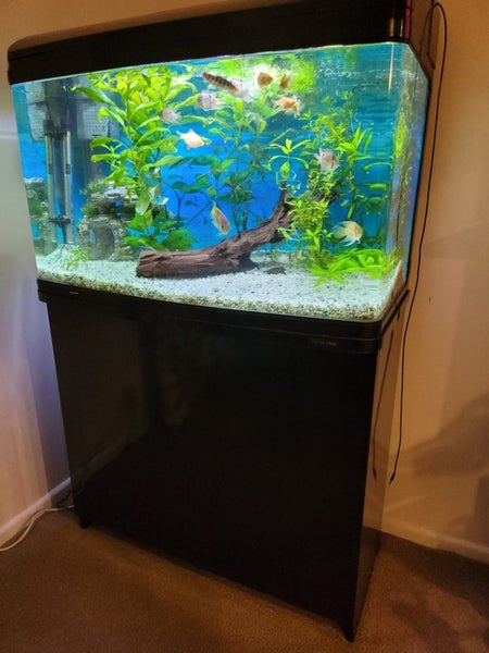 Aqua style 850 Fishtank and Stand, Complete set up. Carousel 1