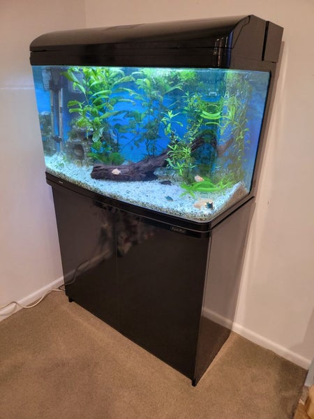 Aqua style 850 Fishtank and Stand, Complete set up. Carousel 8