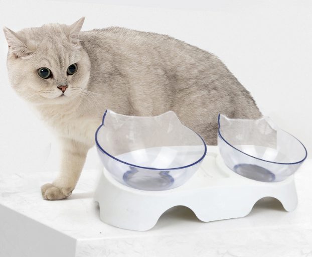 Ergonomic Cat Feeding Bowls - NZ Stock Carousel 2
