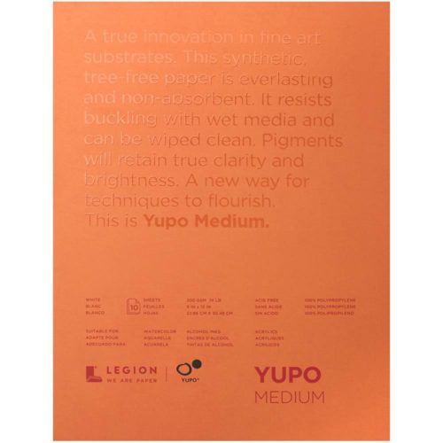 YUPO Yupo Paper 10 Sheets/Pkg 9"x12" Carousel 1