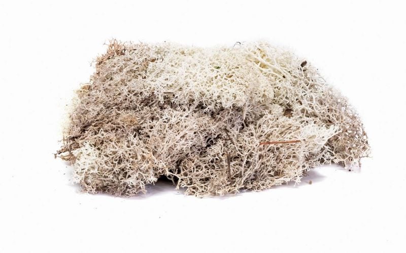 Model Scenery - Lichen Stone Grey Carousel 1