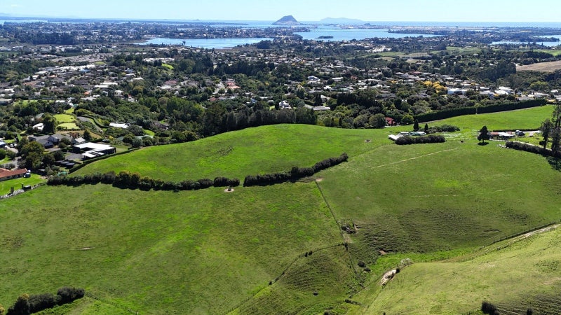 Image 1 of 15