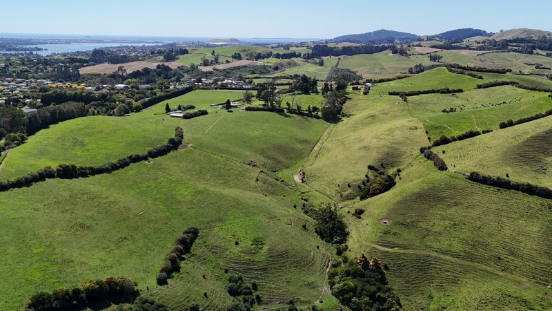 Image 2 of 15