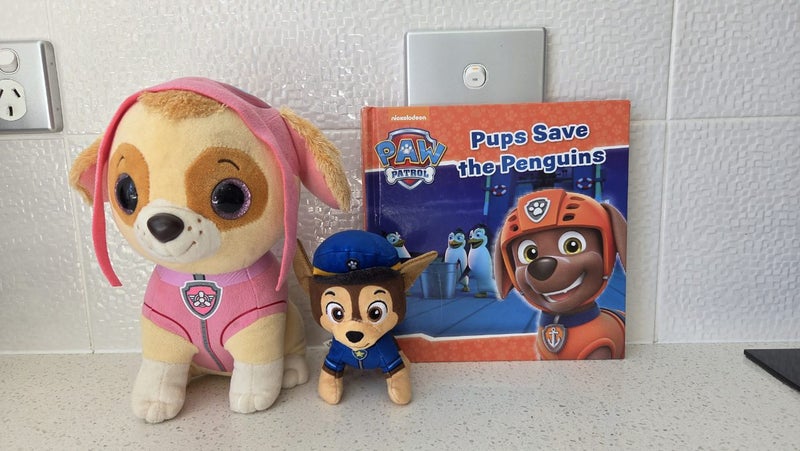 BOOK + 2x PAW PATROL SOFT TOYS / PLUSH TEDDIES Carousel 1