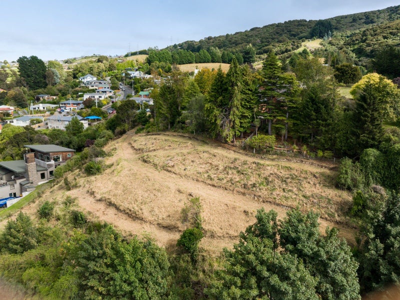 Elevated section with picturesque Dunedin views62865854209922112