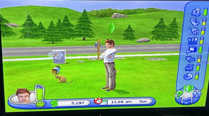 The Sims 2 Pets - PS2 - Complete Carousel 6