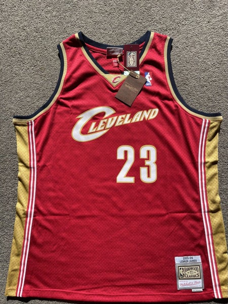 NBA Singlet - LeBron James Carousel 1