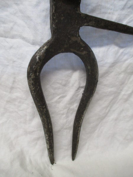 Vintage European Fork Digger Tool - Possible for Turnip/Sugar Beet - R5 TLS 1088 Carousel 2