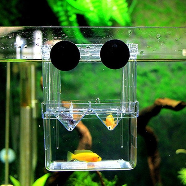 Floating Fish Tank 3 in1 Aquatic Fish Breeding Tank Incubator Carousel 1