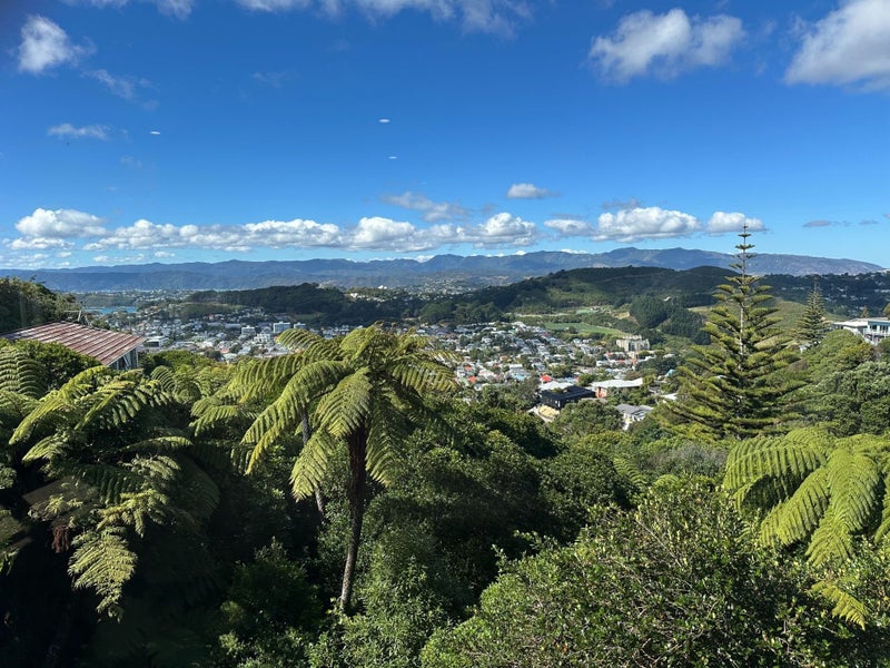 Image 1 of 15