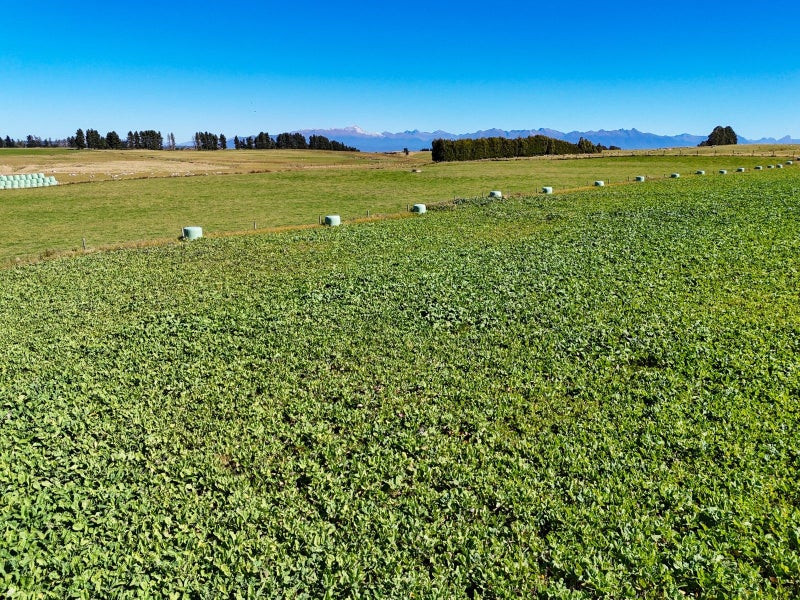 Image 3 of 21