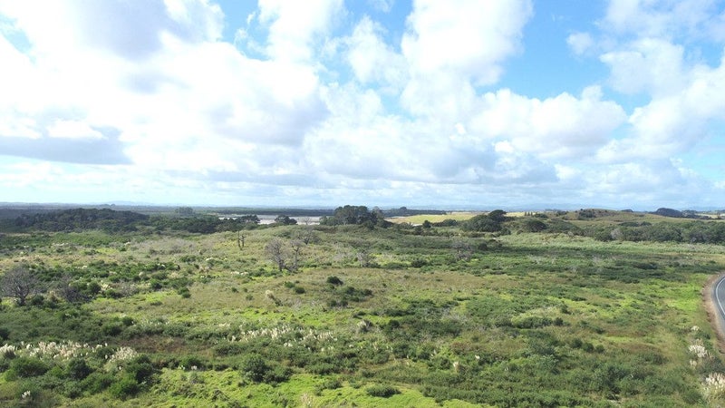 Image 1 of 12
