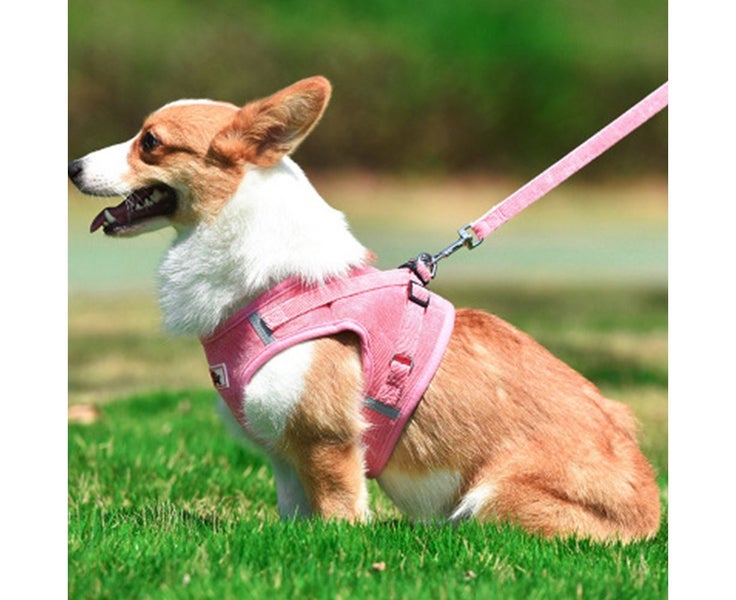 Soft Mesh Chest Harness for Medium and Small Dogs / Cats, Adjustable Reflecti M Carousel 5