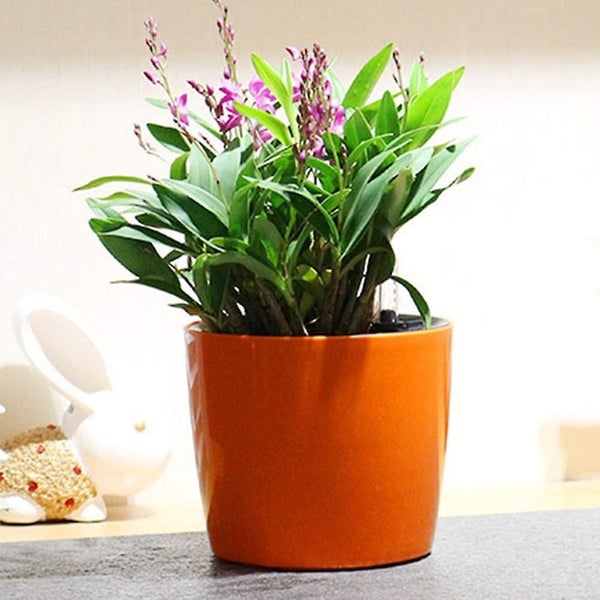 Round Self Watering Flower Pot With Water Indicator Indoor Outdoor Plastic Plant Carousel 2