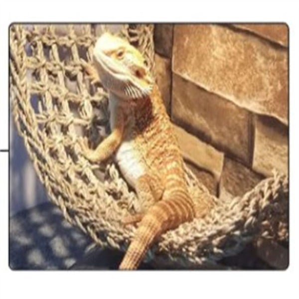 Reptile Hammock Lounger Lizard Basking Platform Dragon Hanging Swing Bearded Carousel 12