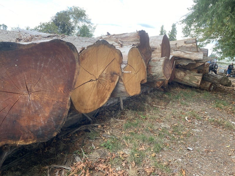 Gum sleepers 200x100 Carousel 2